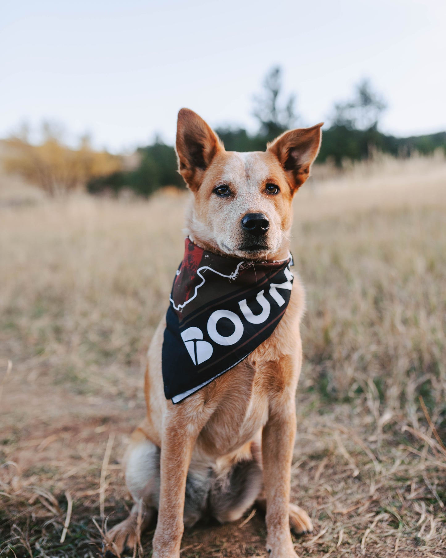 Boundless Mountain Bandana